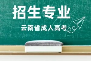 2025年云南省成人高考招生专业有哪些？