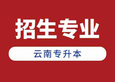 2025年云南省普通专升本专业对应关系&mdash;&mdash;昆明传媒学院