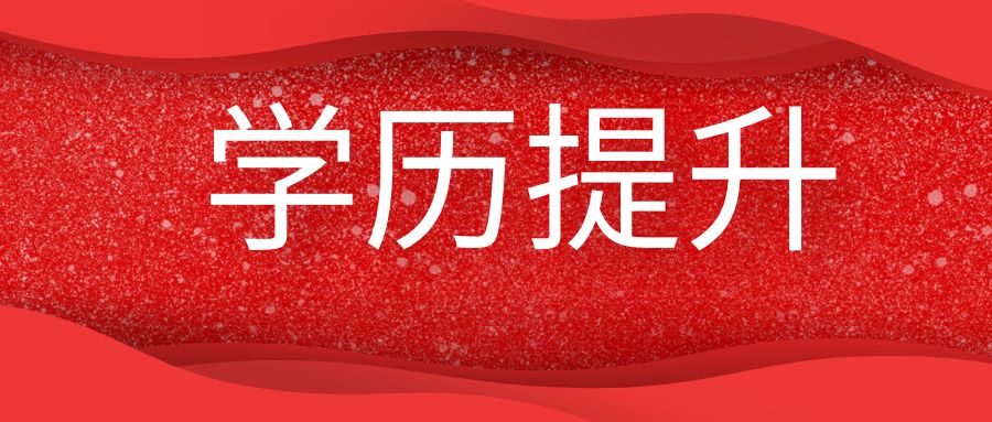 自学考试中适合考公考编的专业推荐