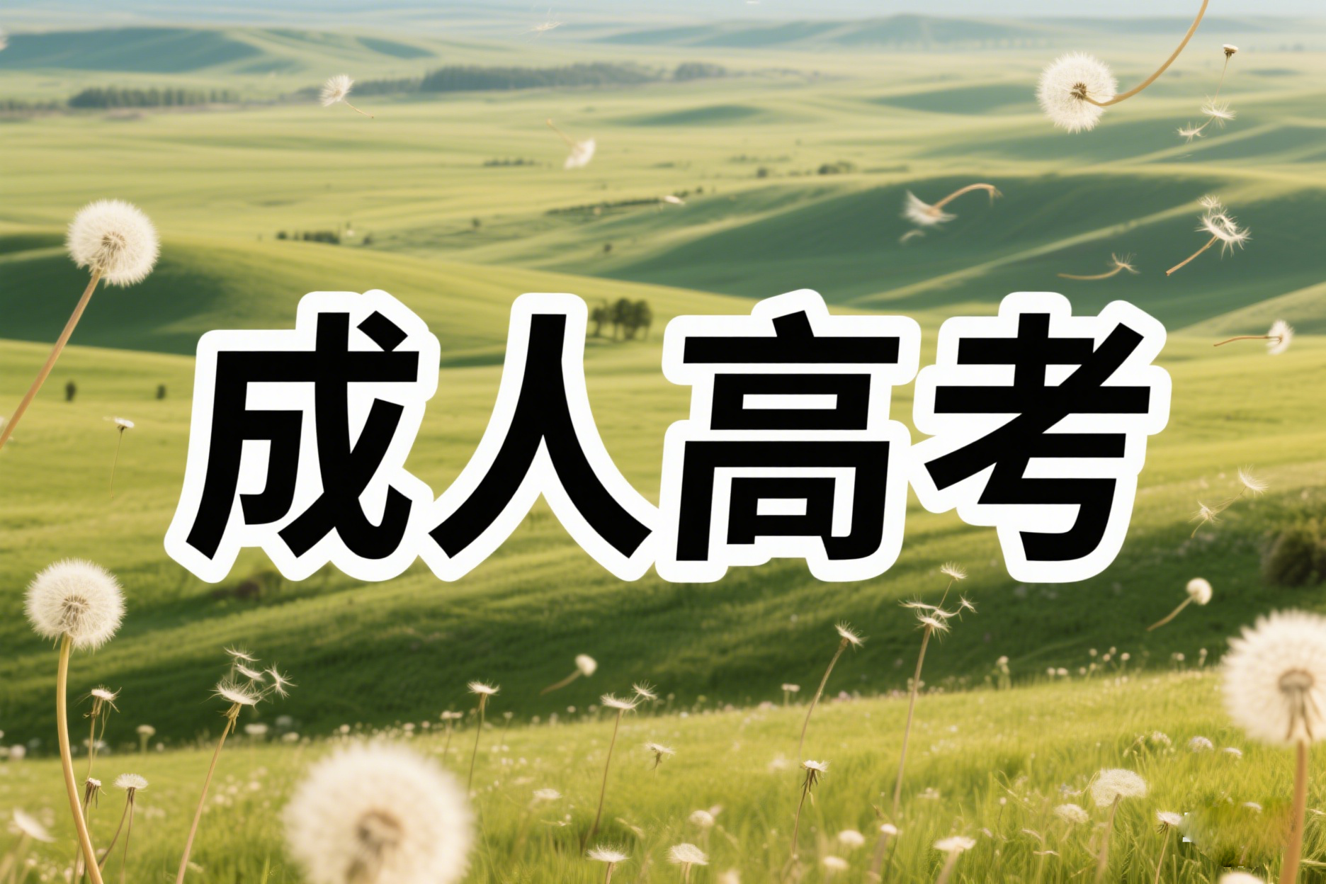 云南专科起点升本科和高中起点升本、专科考试科目？