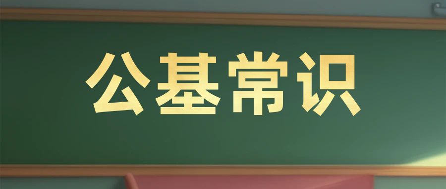 【公基常识】人体九大系统