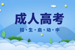 云南成人高考线上审核需要准备哪些材料？